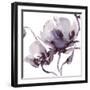 Winter Dusk II-Sandra Jacobs-Framed Giclee Print