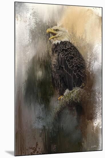 Winter Eagle 3-Jai Johnson-Mounted Giclee Print
