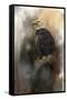 Winter Eagle 3-Jai Johnson-Framed Stretched Canvas