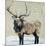 Winter Elk Neutral-Kellie Day-Mounted Premium Giclee Print