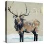Winter Elk Neutral-Kellie Day-Stretched Canvas