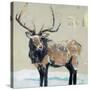 Winter Elk Neutral-Kellie Day-Stretched Canvas