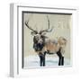 Winter Elk Neutral-Kellie Day-Framed Art Print