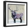 Winter Elk-Kellie Day-Framed Art Print