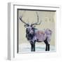 Winter Elk-Kellie Day-Framed Art Print