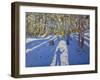 Winter Elvaston Castle, 2008-Andrew Macara-Framed Giclee Print