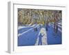 Winter Elvaston Castle, 2008-Andrew Macara-Framed Giclee Print