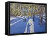 Winter Elvaston Castle, 2008-Andrew Macara-Framed Stretched Canvas