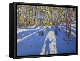 Winter Elvaston Castle, 2008-Andrew Macara-Framed Stretched Canvas