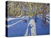 Winter Elvaston Castle, 2008-Andrew Macara-Stretched Canvas