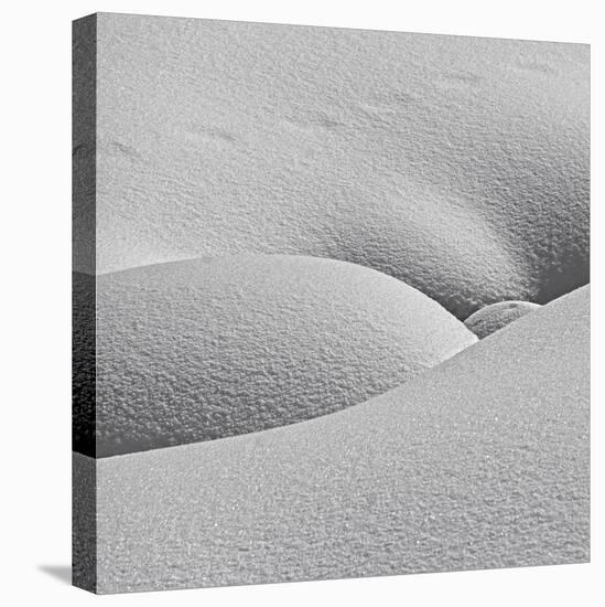 Winter Erotica.-Lyubov Furs-Stretched Canvas