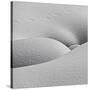 Winter Erotica.-Lyubov Furs-Stretched Canvas