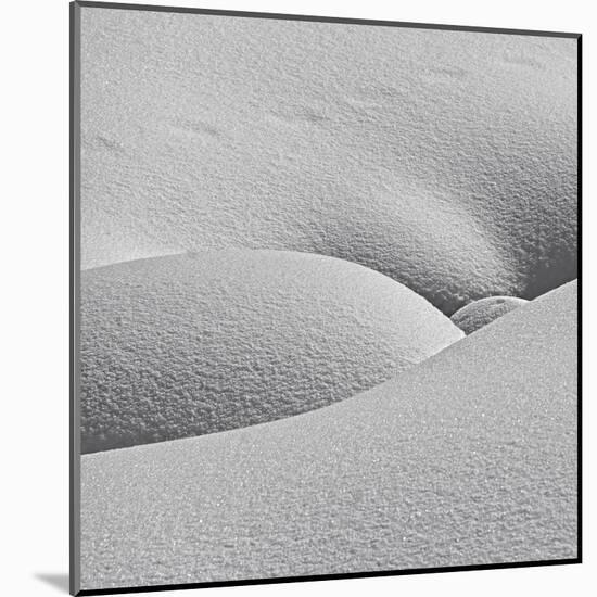 Winter Erotica.-Lyubov Furs-Mounted Premium Photographic Print