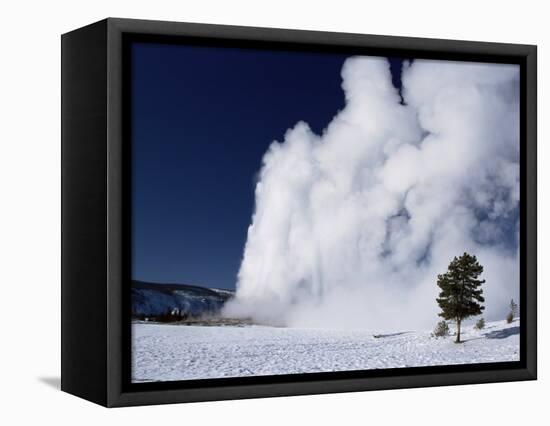 Winter Eruption, Old Faithful Geyser, Yellowstone National Park, Wyoming-Tony Waltham-Framed Stretched Canvas