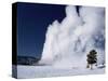 Winter Eruption, Old Faithful Geyser, Yellowstone National Park, Wyoming-Tony Waltham-Stretched Canvas