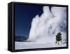 Winter Eruption, Old Faithful Geyser, Yellowstone National Park, Wyoming-Tony Waltham-Framed Stretched Canvas