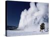 Winter Eruption, Old Faithful Geyser, Yellowstone National Park, Wyoming-Tony Waltham-Stretched Canvas