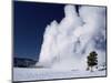 Winter Eruption, Old Faithful Geyser, Yellowstone National Park, Wyoming-Tony Waltham-Mounted Photographic Print