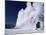 Winter Eruption, Old Faithful Geyser, Yellowstone National Park, Wyoming-Tony Waltham-Mounted Photographic Print