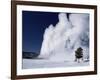 Winter Eruption, Old Faithful Geyser, Yellowstone National Park, Wyoming-Tony Waltham-Framed Photographic Print