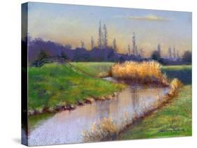 Winter Evening on the Clyst, 2003-Anthony Rule-Stretched Canvas