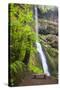 Winter Falls, Silver Falls State Park, Oregon, USA-Jamie & Judy Wild-Stretched Canvas