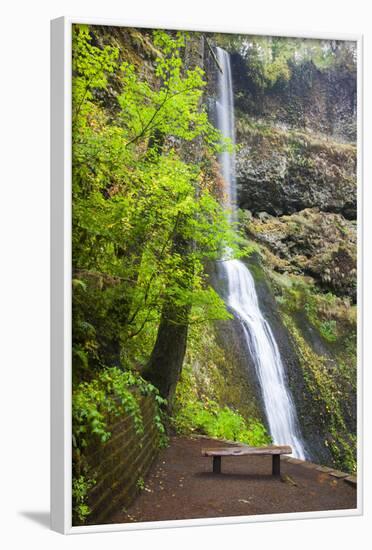 Winter Falls, Silver Falls State Park, Oregon, USA-Jamie & Judy Wild-Framed Photographic Print