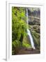 Winter Falls, Silver Falls State Park, Oregon, USA-Jamie & Judy Wild-Framed Photographic Print