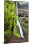 Winter Falls, Silver Falls State Park, Oregon, USA-Jamie & Judy Wild-Mounted Photographic Print