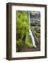 Winter Falls, Silver Falls State Park, Oregon, USA-Jamie & Judy Wild-Framed Photographic Print