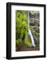 Winter Falls, Silver Falls State Park, Oregon, USA-Jamie & Judy Wild-Framed Photographic Print