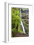 Winter Falls, Silver Falls State Park, Oregon, USA-Jamie & Judy Wild-Framed Photographic Print