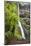 Winter Falls, Silver Falls State Park, Oregon, USA-Jamie & Judy Wild-Mounted Photographic Print