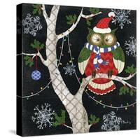 Winter Fantasy Owls I-Paul Brent-Stretched Canvas