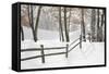 Winter Fence & Shadow, Farmington Hills, Michigan ‘09-Monte Nagler-Framed Stretched Canvas