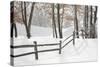 Winter Fence & Shadow, Farmington Hills, Michigan ‘09-Monte Nagler-Stretched Canvas