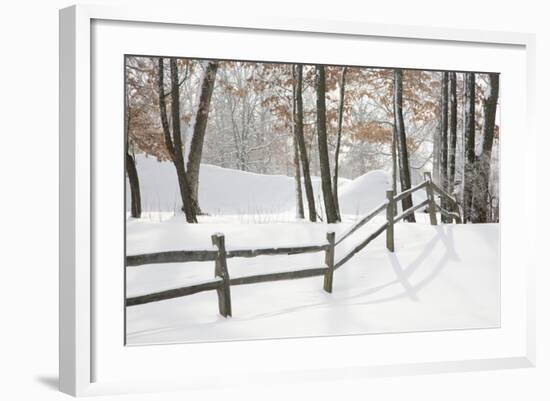 Winter Fence & Shadow, Farmington Hills, Michigan ‘09-Monte Nagler-Framed Photographic Print