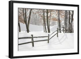 Winter Fence & Shadow, Farmington Hills, Michigan ‘09-Monte Nagler-Framed Photographic Print