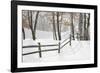 Winter Fence & Shadow, Farmington Hills, Michigan ‘09-Monte Nagler-Framed Photographic Print