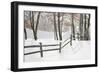 Winter Fence & Shadow, Farmington Hills, Michigan ‘09-Monte Nagler-Framed Photographic Print