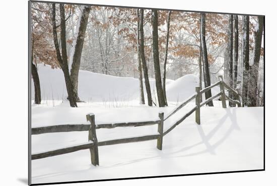 Winter Fence & Shadow, Farmington Hills, Michigan ‘09-Monte Nagler-Mounted Photographic Print