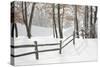 Winter Fence & Shadow, Farmington Hills, Michigan ‘09-Monte Nagler-Stretched Canvas