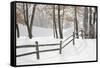 Winter Fence & Shadow, Farmington Hills, Michigan ‘09-Monte Nagler-Framed Stretched Canvas