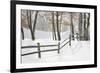 Winter Fence & Shadow, Farmington Hills, Michigan ‘09-Monte Nagler-Framed Photographic Print