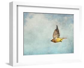 Winter Flight Cedar Waxwing-Jai Johnson-Framed Giclee Print