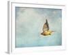 Winter Flight Cedar Waxwing-Jai Johnson-Framed Giclee Print