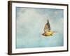 Winter Flight Cedar Waxwing-Jai Johnson-Framed Giclee Print