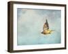 Winter Flight Cedar Waxwing-Jai Johnson-Framed Giclee Print