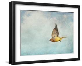 Winter Flight Cedar Waxwing-Jai Johnson-Framed Giclee Print