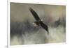 Winter Flight-Jai Johnson-Framed Giclee Print